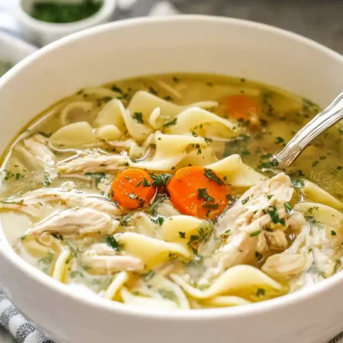 Instant Pot Chicken Noodle Soup