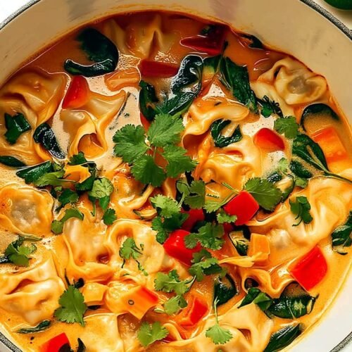 Red Curry Pot Sticker Soup