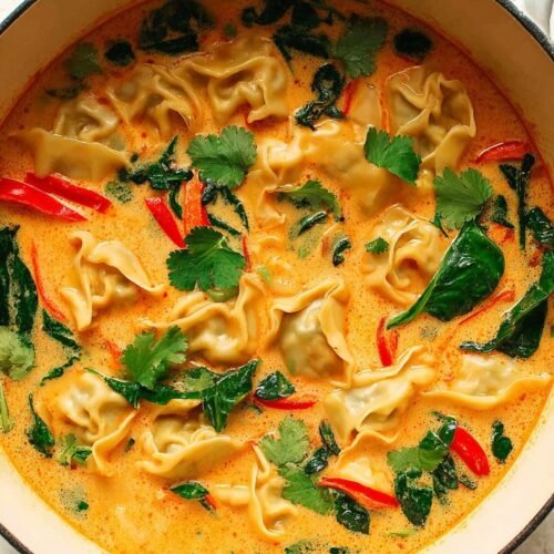 Red Curry Pot Sticker Soup