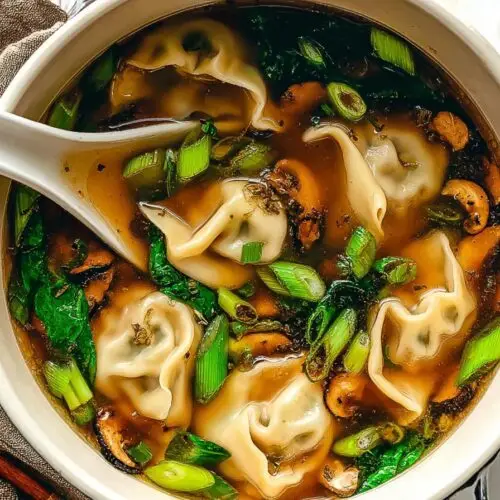 Potsticker Soup