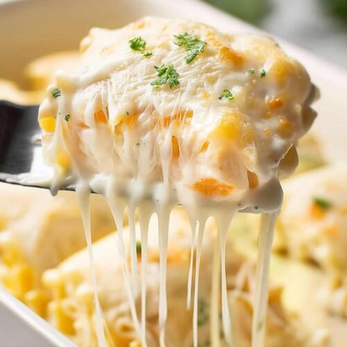 Chicken Alfredo Lasagna Roll Ups