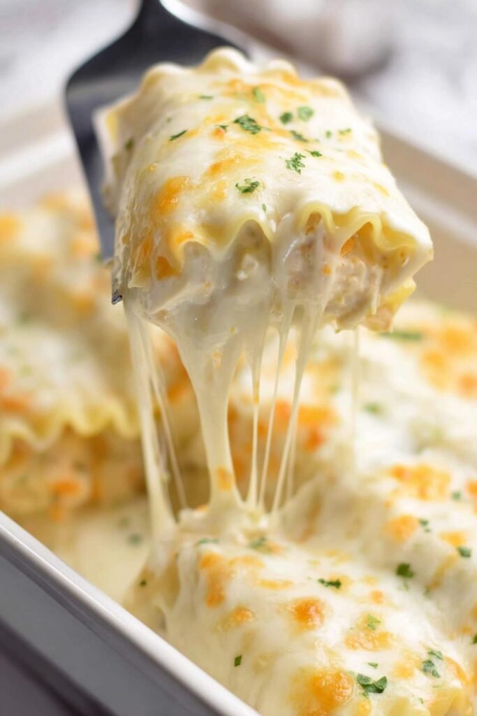 Chicken Alfredo Lasagna Roll Ups