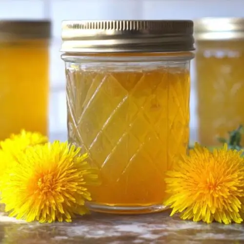 Dandelion Jelly