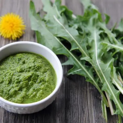 Dandelion Pesto