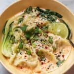 Spring Dinner Coconut Curry Dumpling Soup